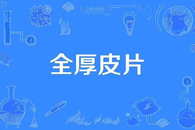全厚皮片 全厚皮片