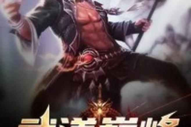 武道巔峰(流氓高手所著小說) 武道巔峰(流氓高手所著小說)