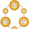 角色衝突(管理學解釋)