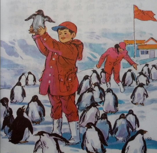 《我和企鵝》課本插圖