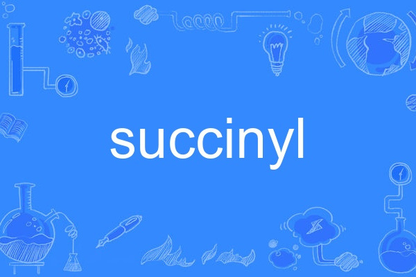 succinyl succinyl