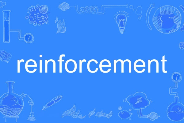 reinforcement reinforcement