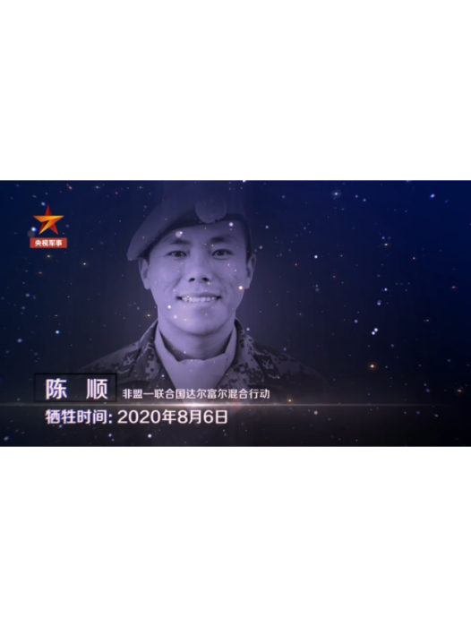 陳順(中國維和部隊烈士) 陳順(中國維和部隊烈士)