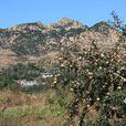 正明山村 正明山村