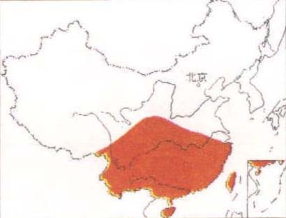 巴拉望穗鶥在中國的分部