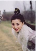 萍蹤俠影(2004年黃海冰、范冰冰主演電視劇)