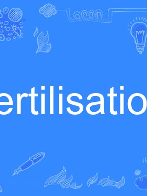 fertilisation fertilisation