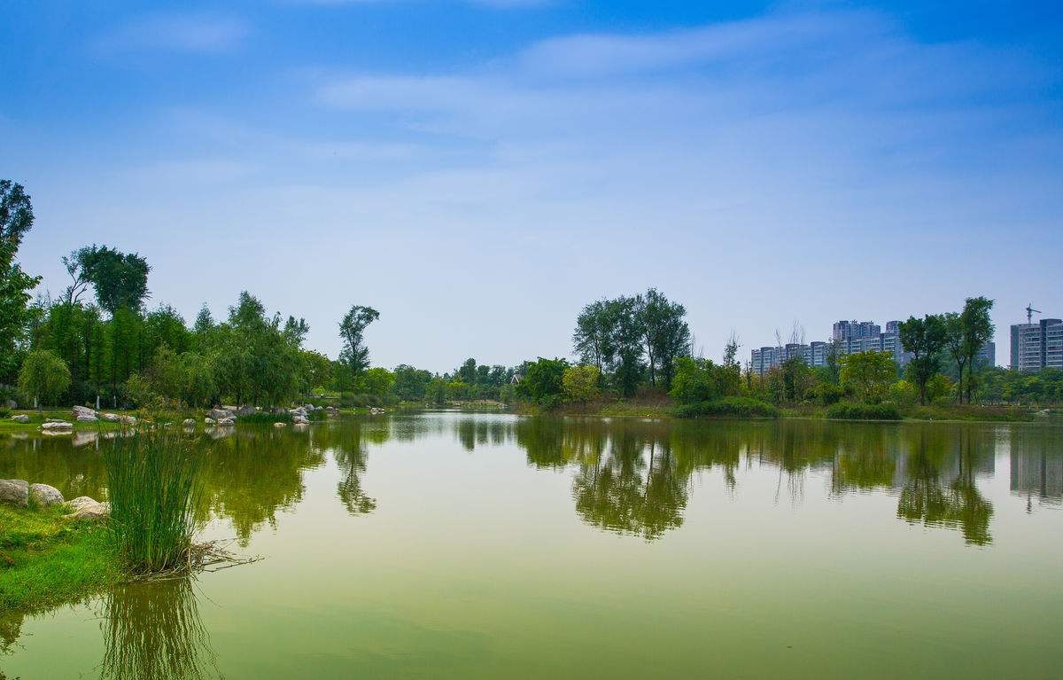 圖5. 生態修復前的錦城湖——藍藻飄蕩，水色混濁