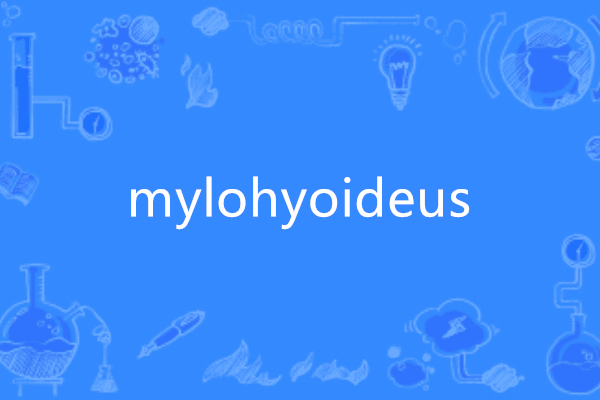 mylohyoideus mylohyoideus