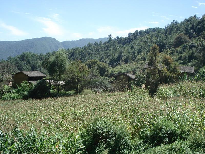 邊苴箐村 邊苴箐村