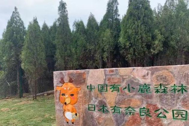 雲上牧場 雲上牧場