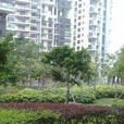 龍軍花園 龍軍花園