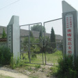 唐嘴村 唐嘴村