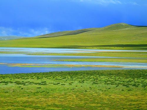 藏北草原