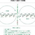 蘭姆移位(蘭姆位移) 蘭姆移位(蘭姆位移)