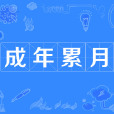 成年累月 成年累月