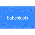 babesiosis babesiosis