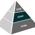CCVP CCVP