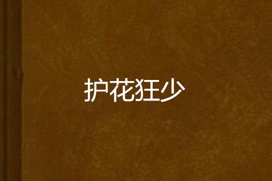 護花狂少(溫老三創作的網路小說) 護花狂少(溫老三創作的網路小說)
