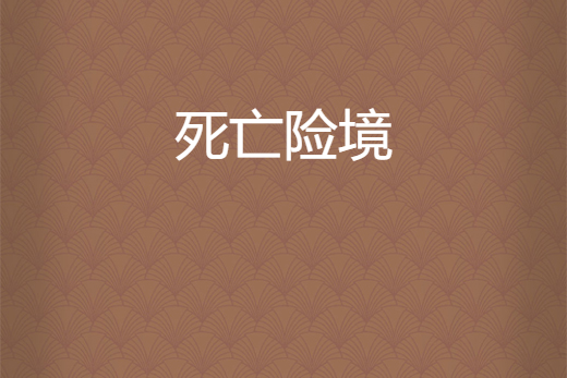 死亡險境 死亡險境