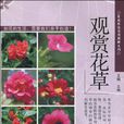 觀賞花草 觀賞花草