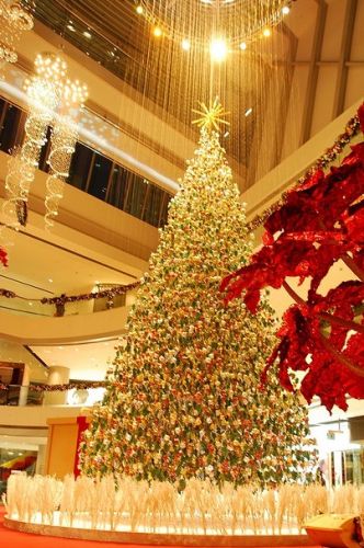 聖誕樹Christmastree
