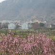 珠岙鎮 珠岙鎮