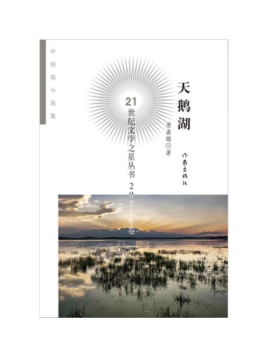 天鵝湖(2023年作家出版社出版的圖書) 天鵝湖(2023年作家出版社出版的圖書)