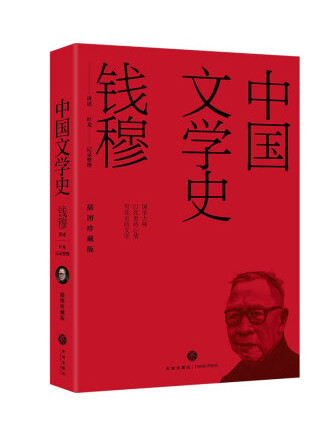 中國文學史(2023年天地出版社出版的圖書)