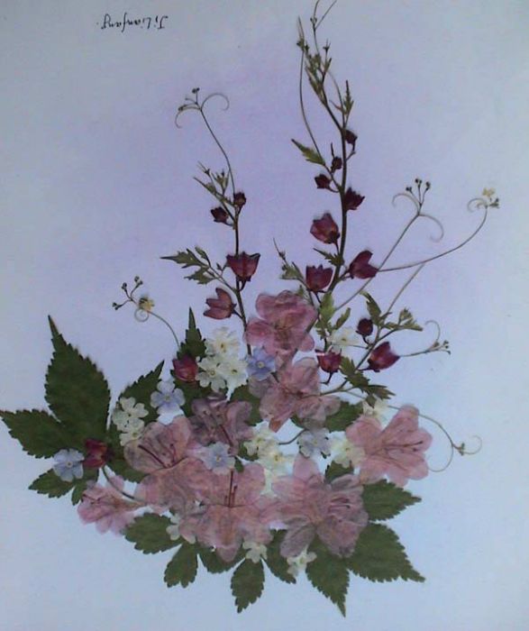 壓花畫 壓花畫