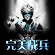 完美戰兵 完美戰兵