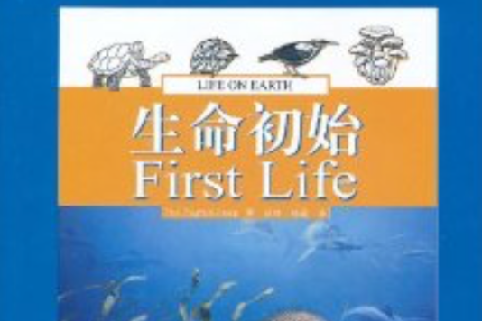 生命初始 生命初始