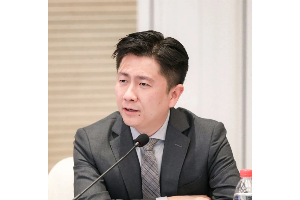 楊濤(東湖高新董事長,董事) 楊濤(東湖高新董事長,董事)