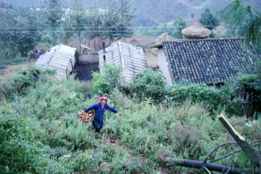 西北溝村 西北溝村
