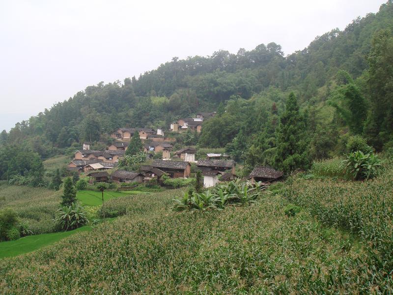 晏家寨村 晏家寨村
