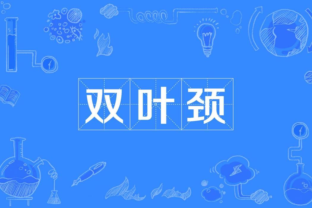 雙葉頸 雙葉頸