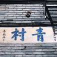 青村(南京市玄武區新街口街道青村) 青村(南京市玄武區新街口街道青村)