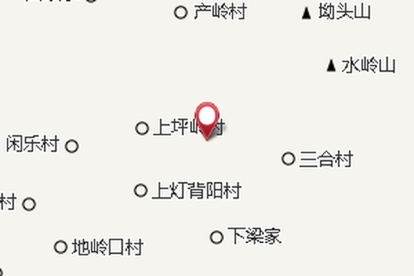 網金 網金