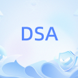 DSA(針對特定領域定製的可程式處理器架構) DSA(針對特定領域定製的可程式處理器架構)