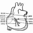 應激綜合症 應激綜合症