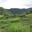 百草林村 百草林村