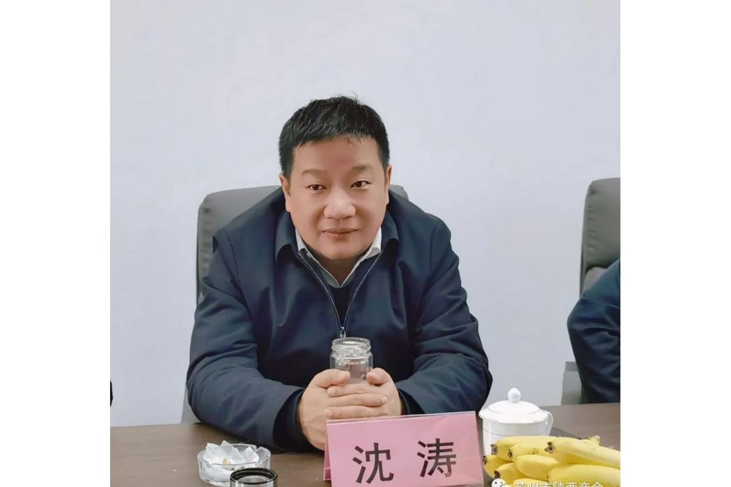 沈濤(陝西省漢中市略陽縣文化和旅遊局局長) 沈濤(陝西省漢中市略陽縣文化和旅遊局局長)