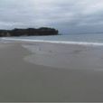 布拉尼島