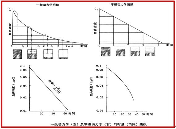 一級動力學消除