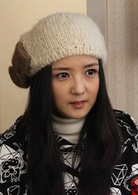 新女婿時代(2012年林永健、牛莉主演現代家庭劇)