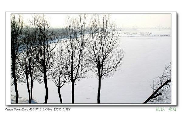 雪落黃河