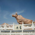 榆中縣