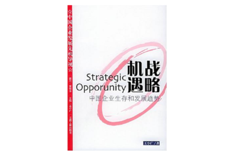 戰略機遇(戰略機遇：中國企業生存和發展趨勢)