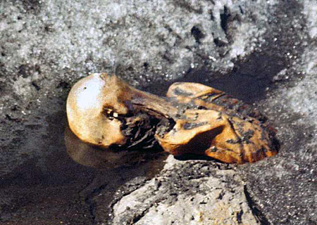 冰人奧茨的冰凍屍體被西蒙發現後的及時照片