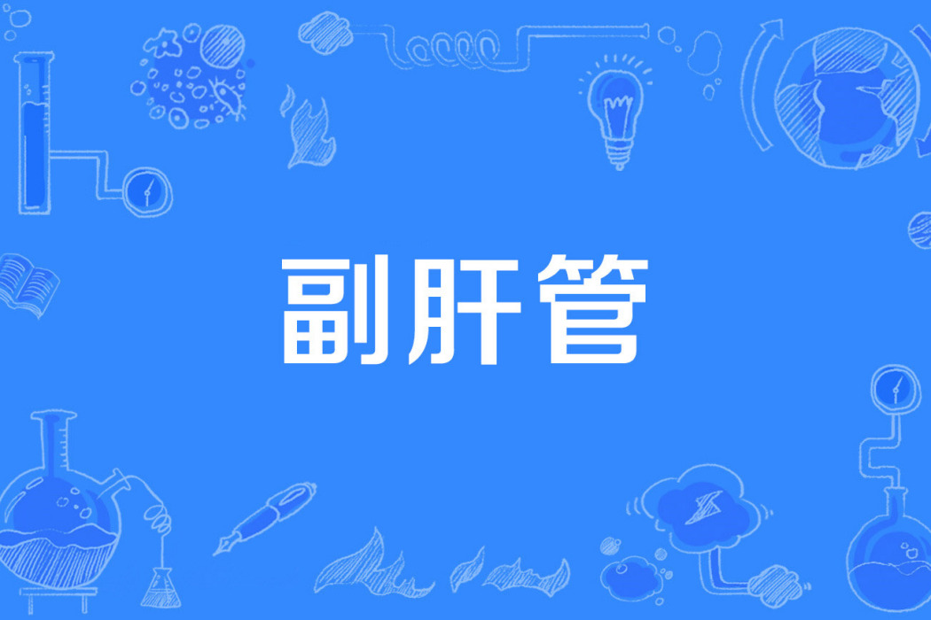 副肝管 副肝管